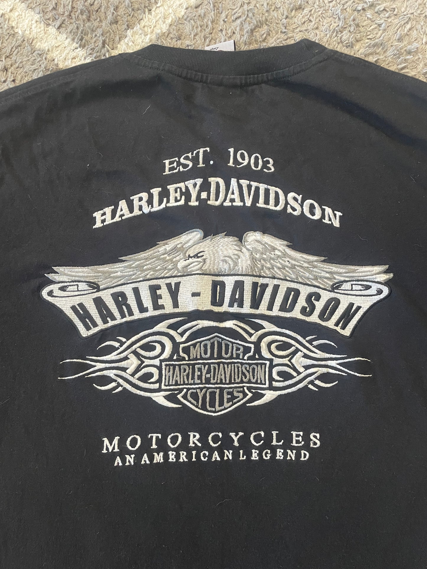 Mens/unisex Harley Davidson tshirt