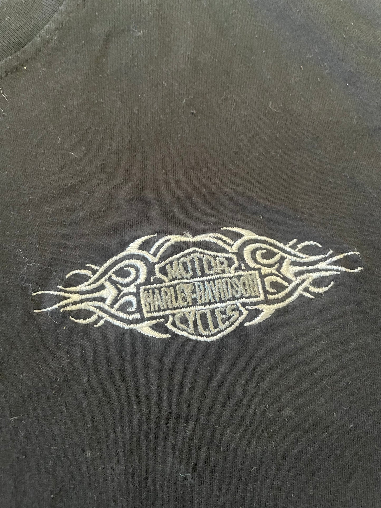 Mens/unisex Harley Davidson tshirt